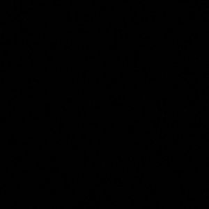 Meet your Posher, Jack